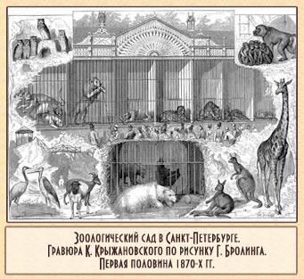 зоологический сад в санкт-петербурге