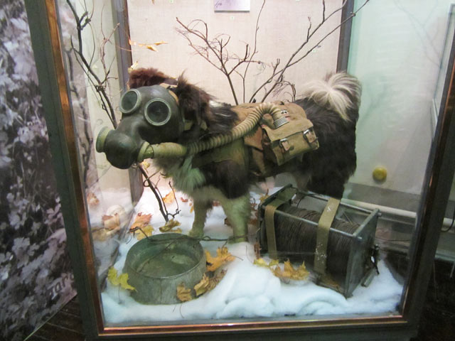Артиллерийский музей.Выставка "Животные на войне".