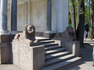 Львы, стерегущие Воронихинскую колоннаду.