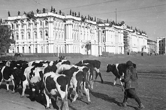 Ленинград.Площадь Урицкого.Август 1941 г.