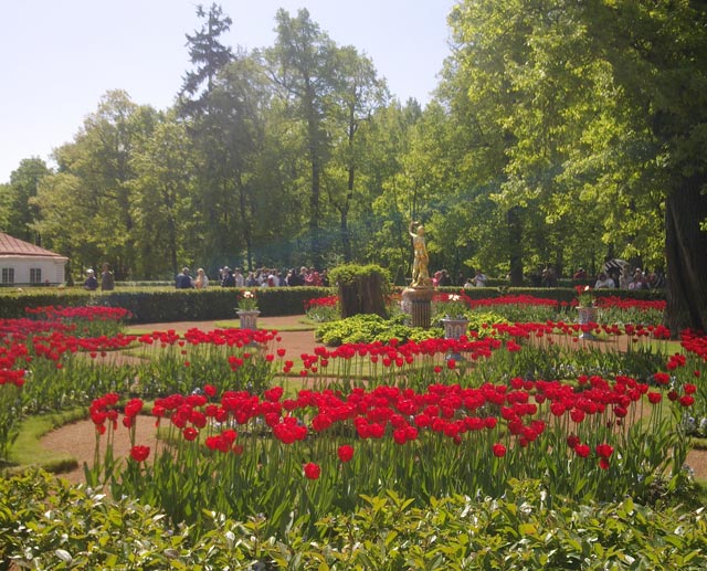 Петергоф.Монплезирский сад.