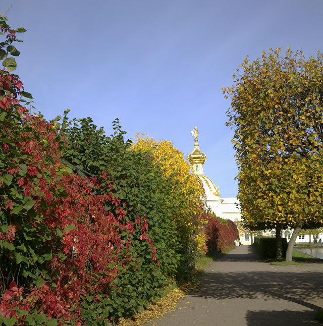 Петергоф осенью