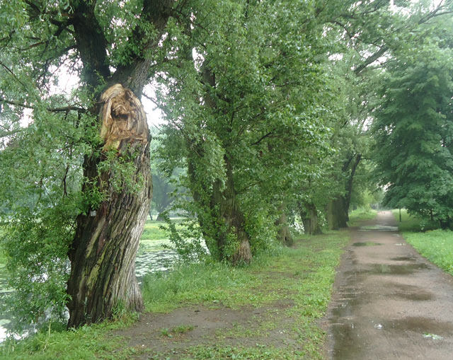Таврический сад.Санкт-Петербург