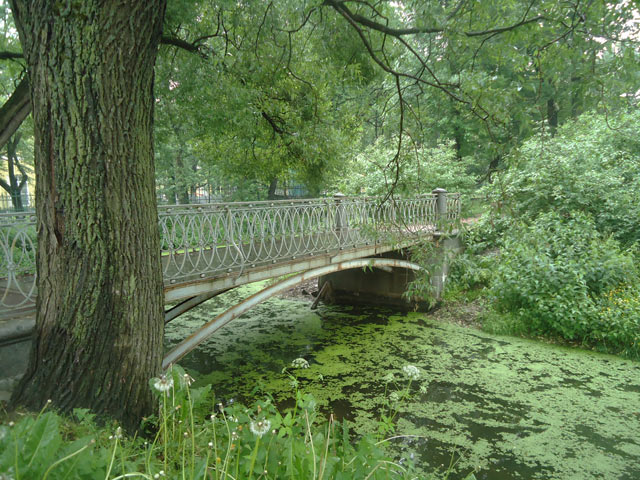 Таврический сад.Санкт-Петербург
