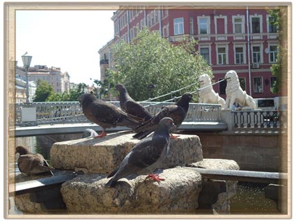 Saint-Petersbourg de la photo