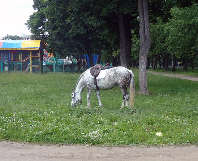 Петергоф.