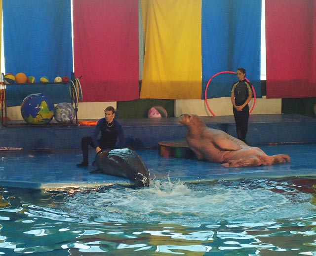 Утришский Дельфинарий.