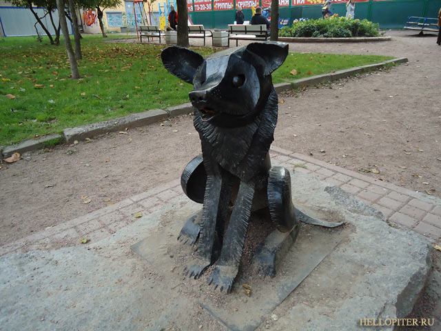 собака гаврюша