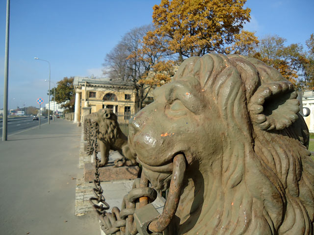 29 львов