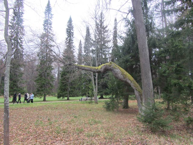 Ораниенбаум.Парк.