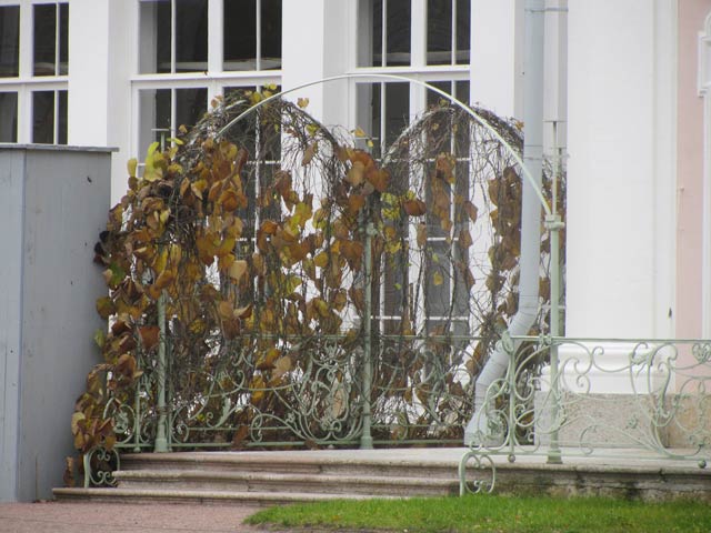 Ораниенбаум.Китайский дворец.