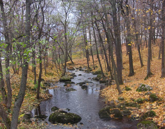 Ораниенбаум.Река Караста.