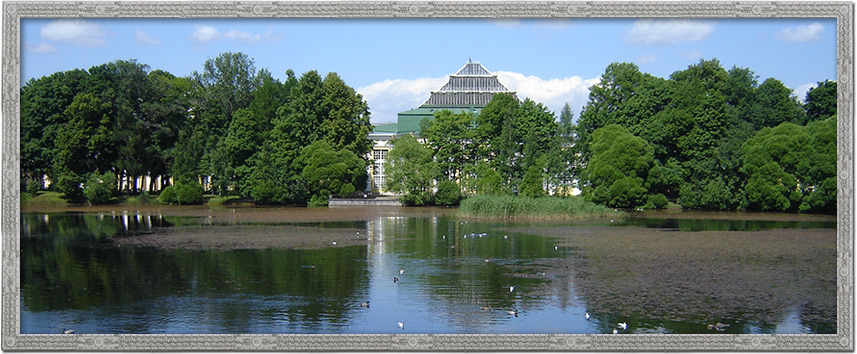 Таврический сад.Санкт-Петербург