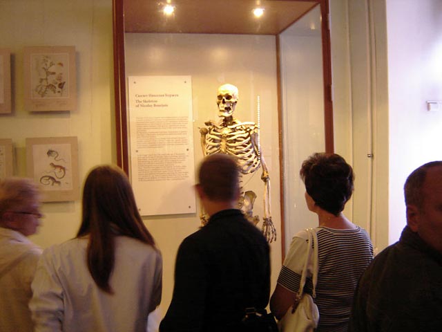 Скелет Буржуа,бывшего семь лет выездным лакеем Петра I.Рост 227 см.