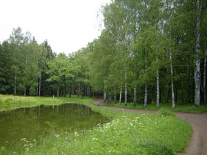 Павловск. Павловский парк