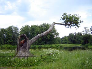 Павловский парк