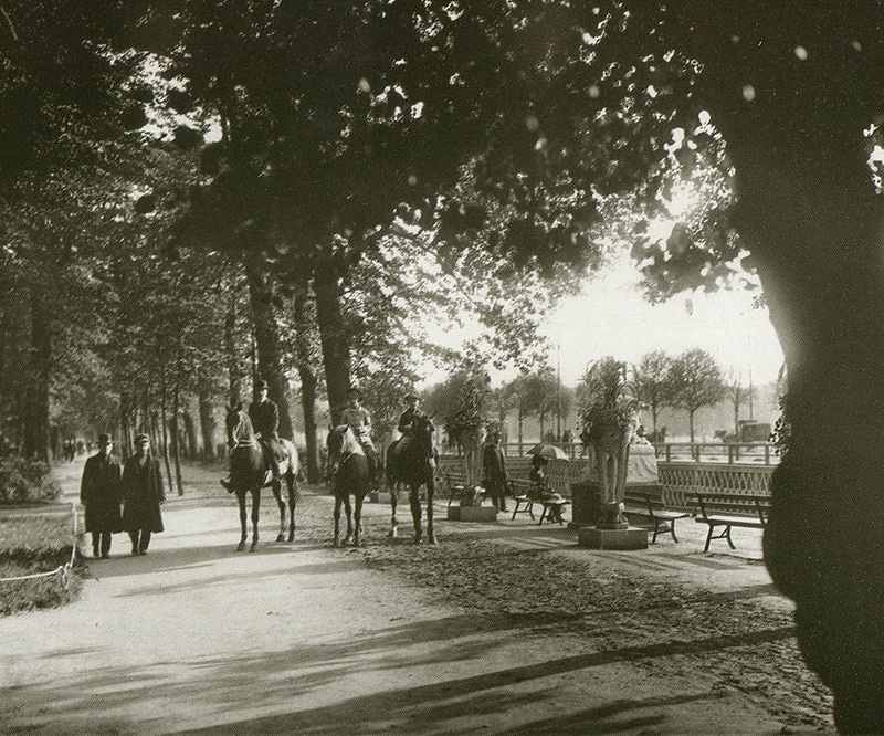 Летний сад. Аллея со стороны Лебяжьего канала. Фото К.К.Буллы. 1913 г.